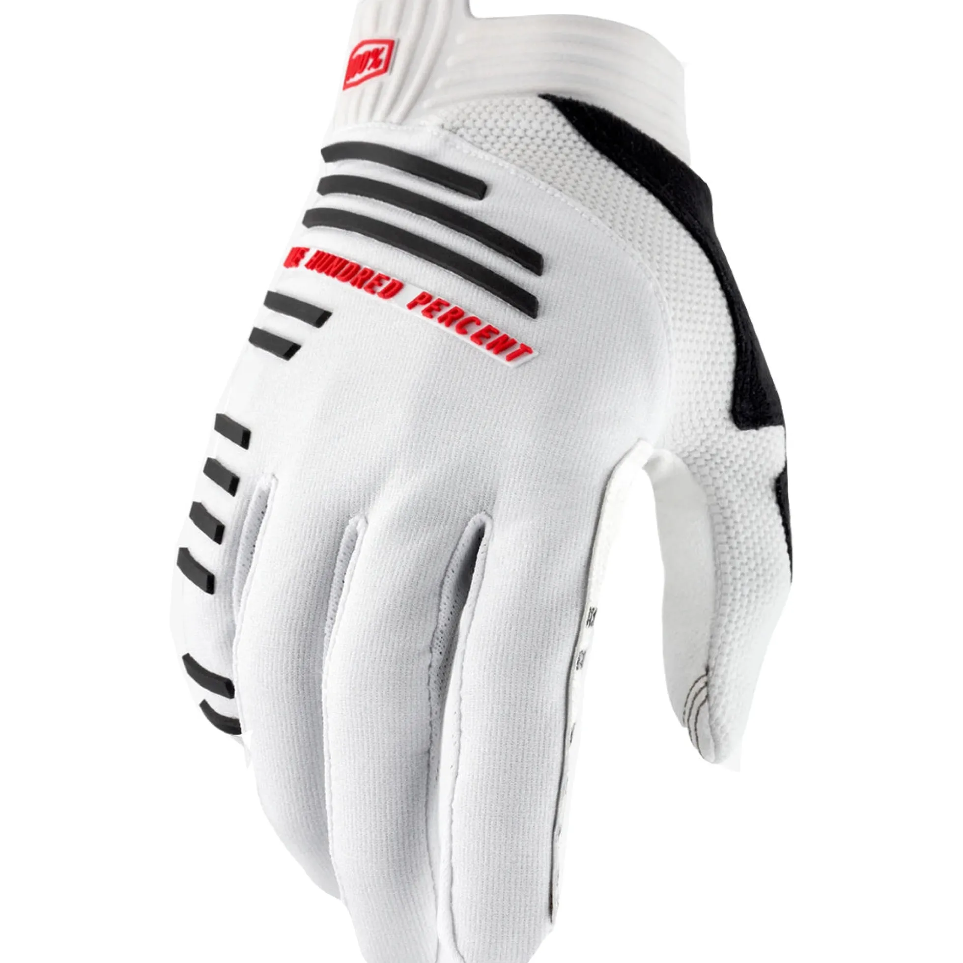 Guanti 100% R-Core - Argento