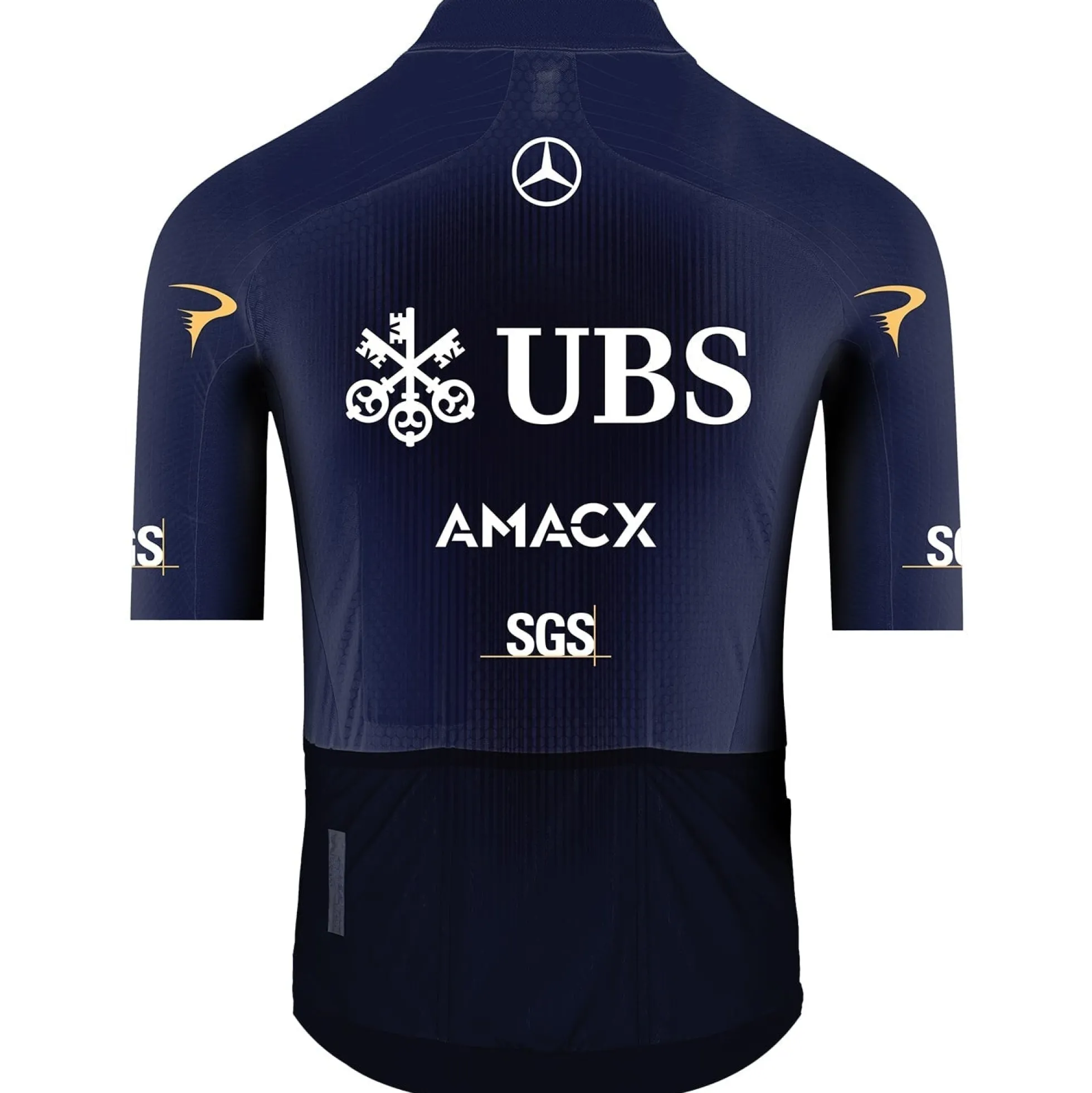Maglia Pinarello-Q36.5 Pro Cycling Team 2026 Gregarius Clima