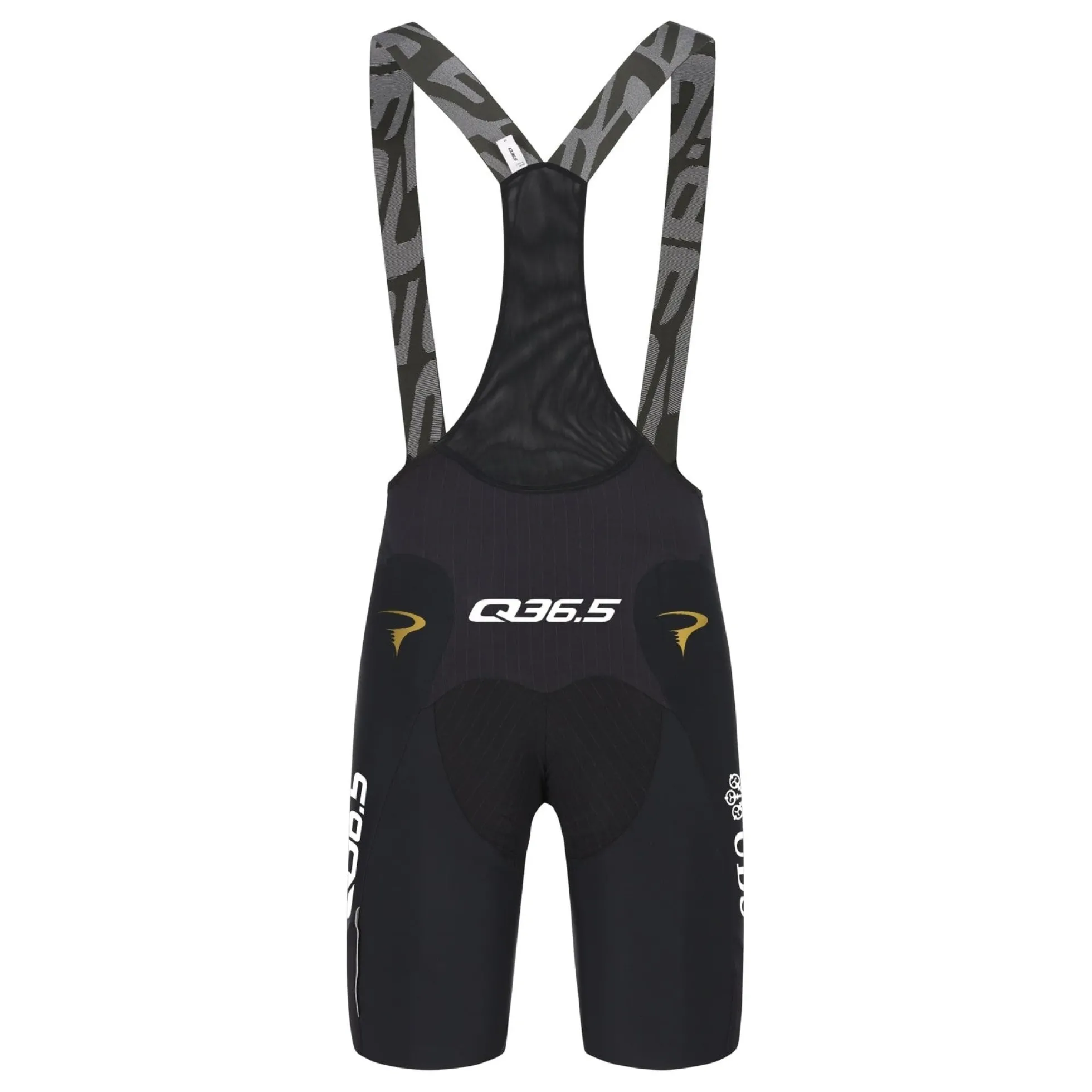 Salopette Pinarello-Q36.5 Pro Cycling Team 2026 Gregarius